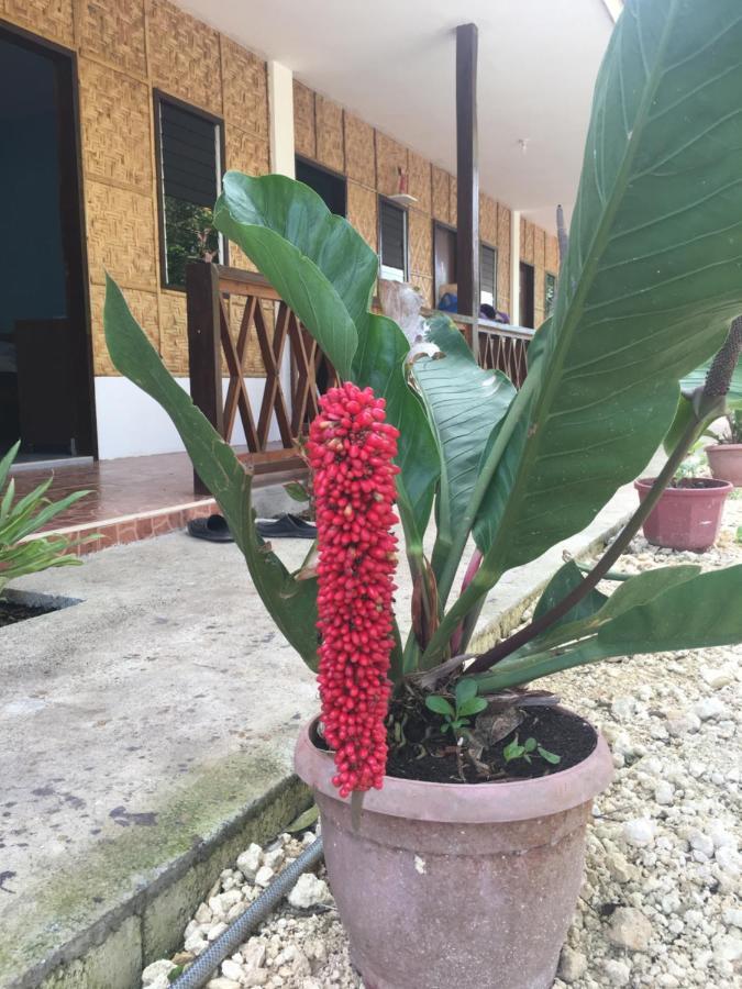 Panglao Rainbow Inn タグビララン エクステリア 写真